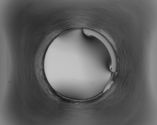 X0000086720481200705111558