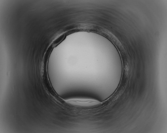 X0000086720484200705111558