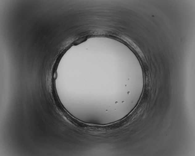 X0000086720485200705111558