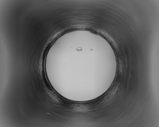 X0000086720486200705111558