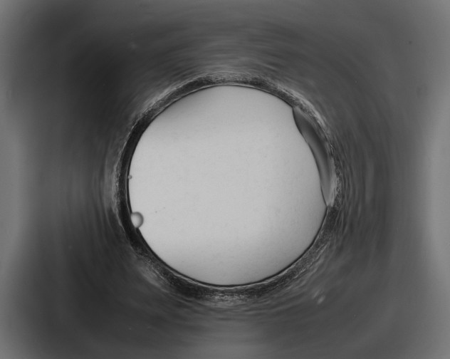 X0000086720487200705111558