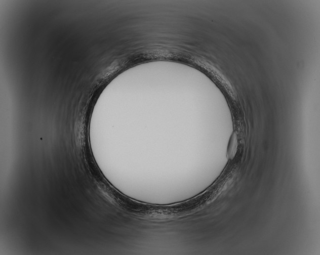 X0000086720489200705111558