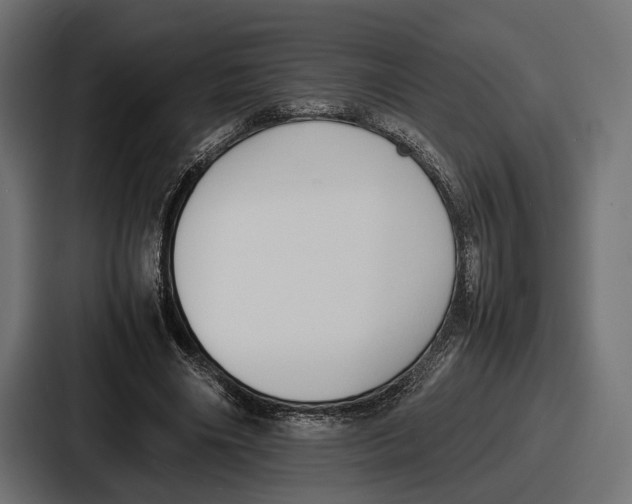 X0000086720490200705111558