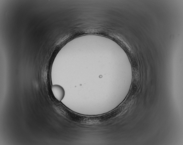 X0000086720491200705111558