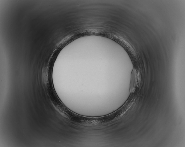 X0000086720492200705111558