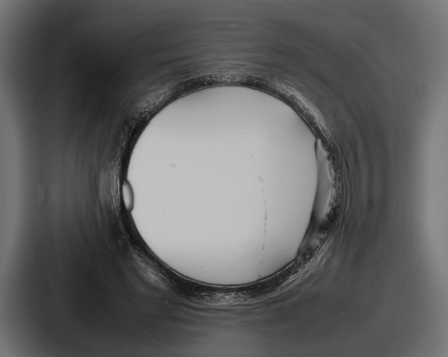 X0000086720493200705111558