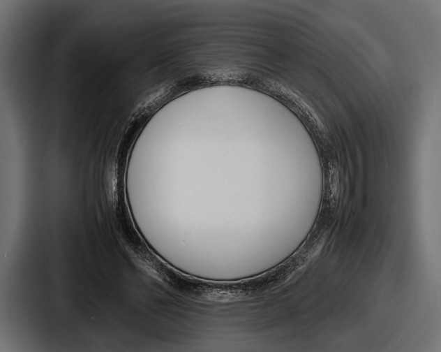 X0000086720494200705111558