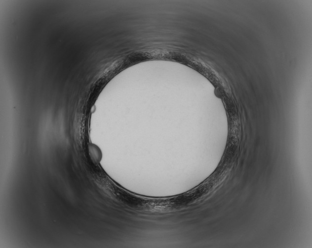 X0000086720495200705111558