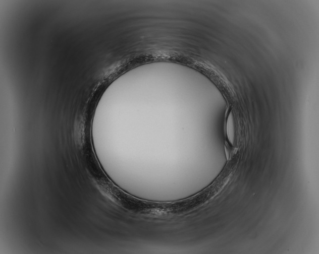 X0000086720496200705111558