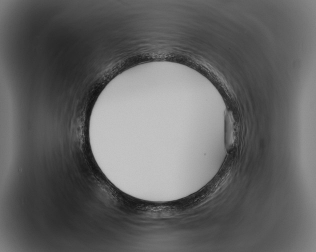 X0000086720497200705111558