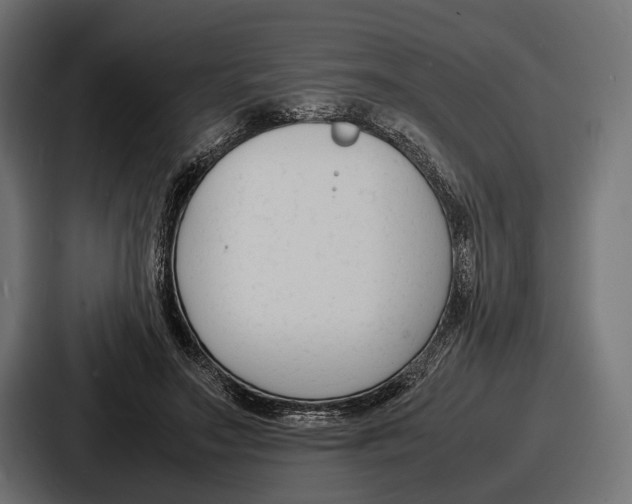 X0000086720499200705111558