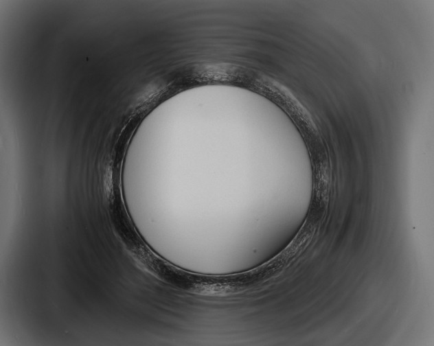 X0000086720500200705111558