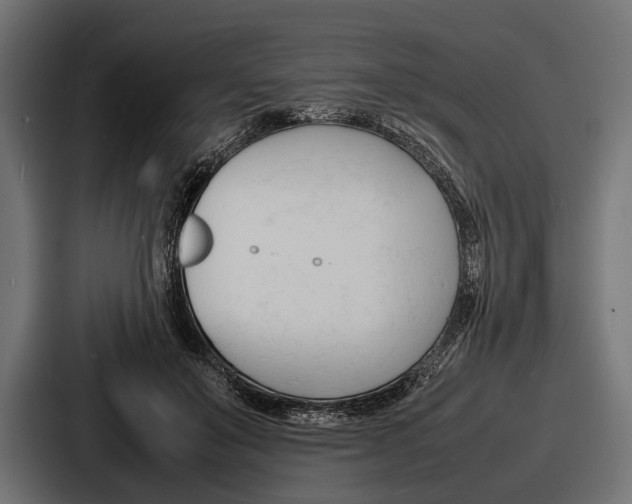 X0000086720503200705111558