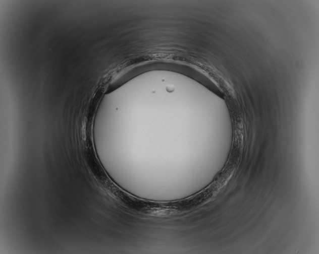 X0000086720504200705111558