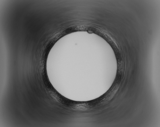 X0000086720505200705111558