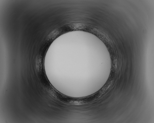 X0000086720506200705111558