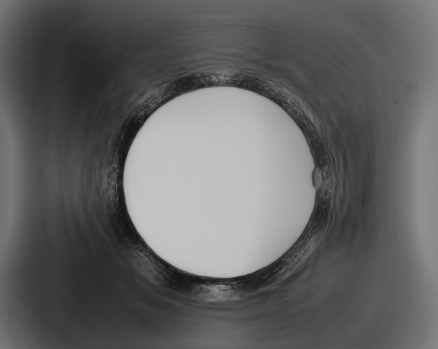 X0000086720509200705111557