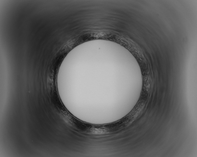 X0000086720510200705111557