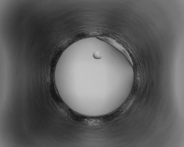 X0000086720512200705111557