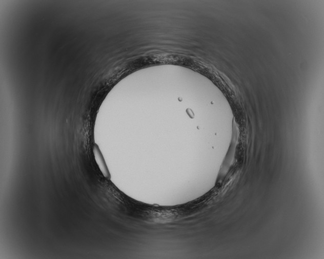 X0000086720513200705111557