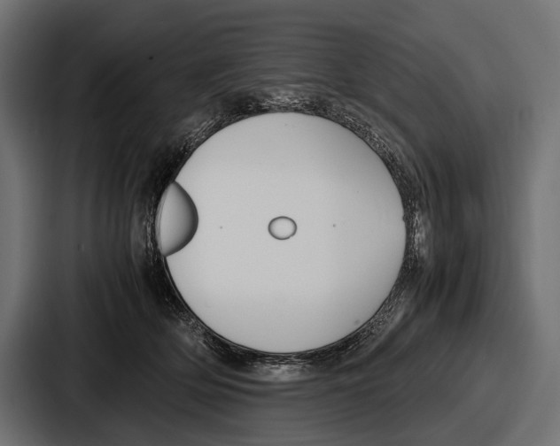 X0000086720514200705111557