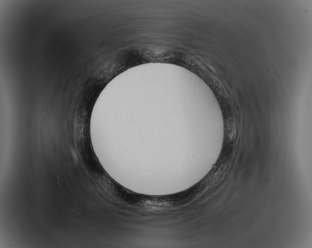 X0000086720515200705111557