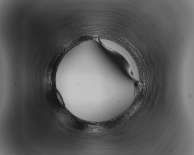 X0000086720516200705111557