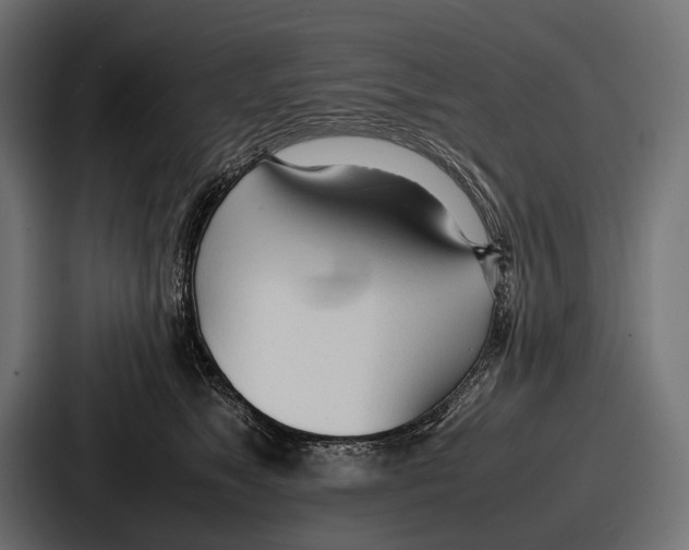 X0000086720517200705111557