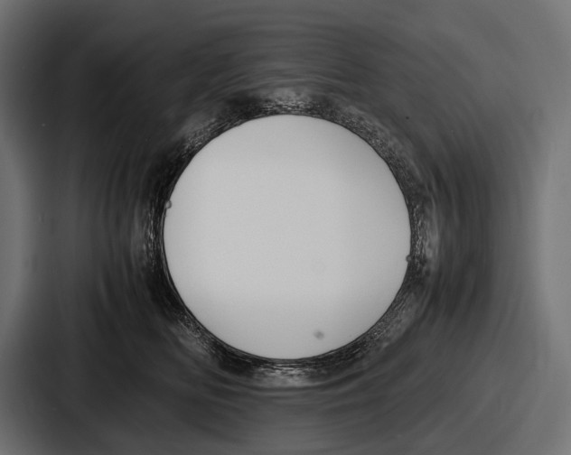 X0000086720518200705111557