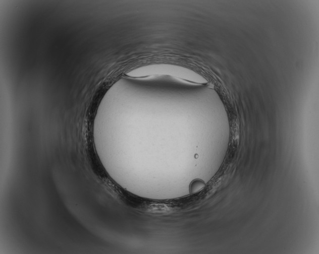 X0000086720519200705111557