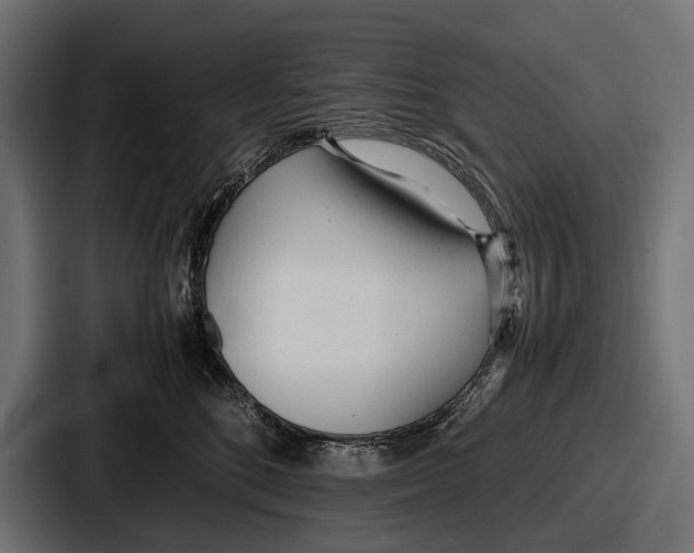 X0000086720520200705111557