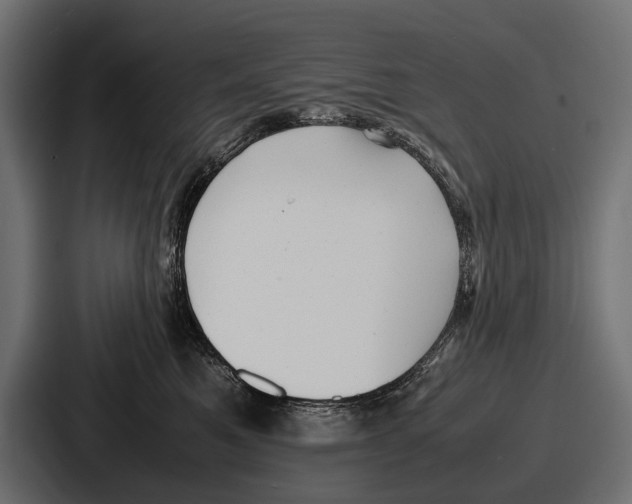 X0000086720521200705111557