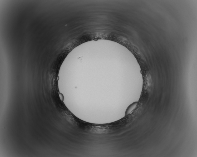 X0000086720522200705111557