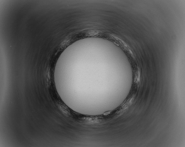 X0000086720524200705111557