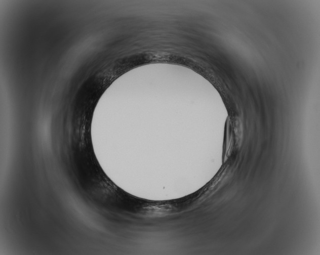 X0000086720525200705111557