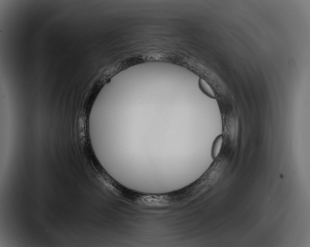 X0000086720526200705111557