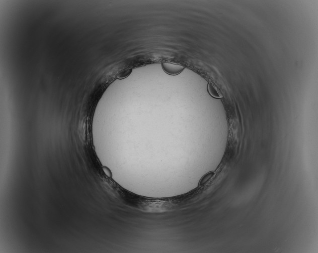 X0000086720527200705111557