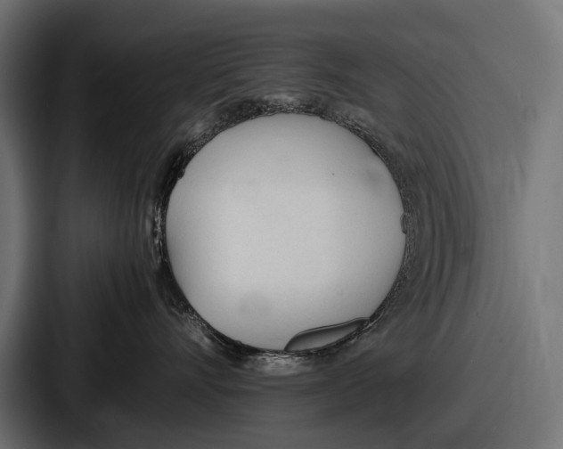 X0000086720528200705111557