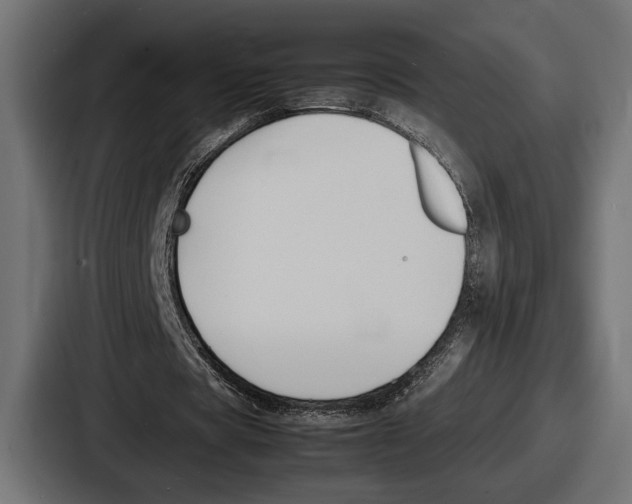 X0000086720529200705111557