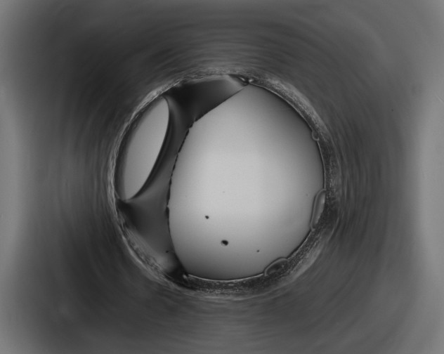 X0000086720530200705111557