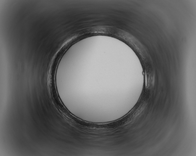 X0000086720531200705111557