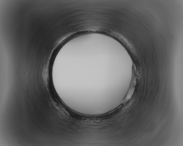 X0000086720532200705111557