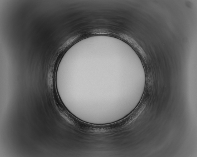 X0000086720533200705111557