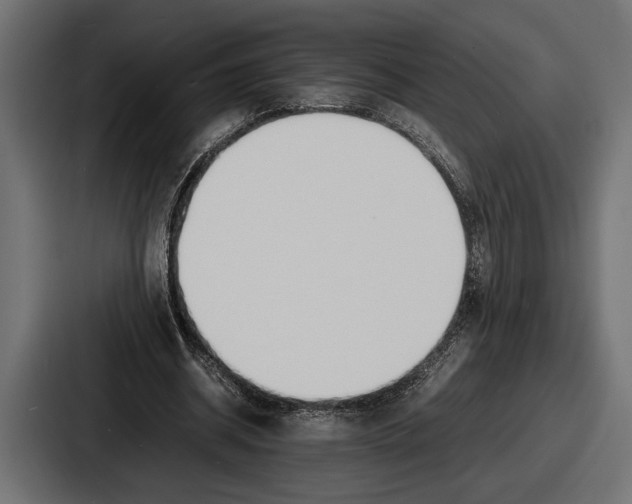 X0000086720534200705111557