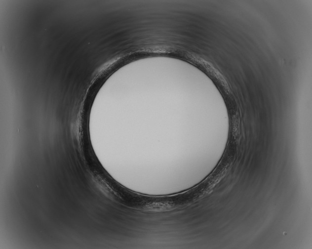 X0000086720536200705111557