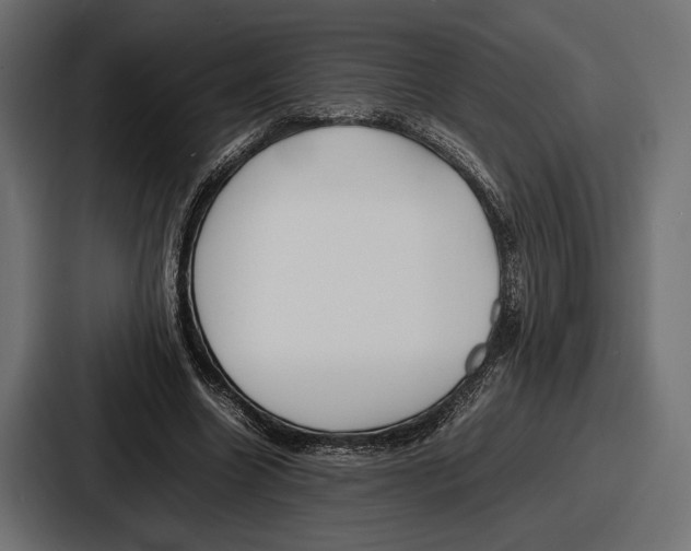 X0000086720538200705111557