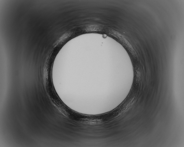 X0000086720539200705111557