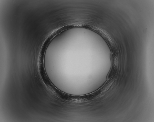 X0000086720540200705111557