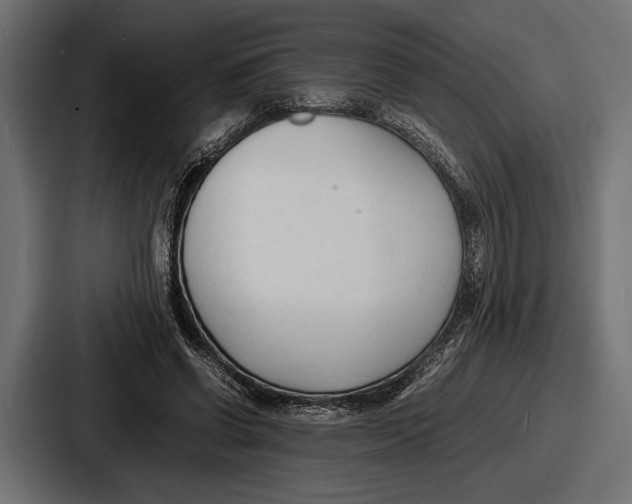 X0000086720542200705111557