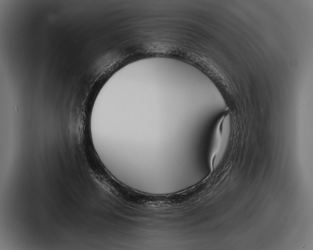 X0000086720544200705111557